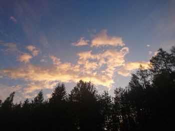 Silhouette of trees at sunset