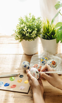 Cropped hands of woman holding potted plant