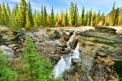 Stream flowing through rocks in forest