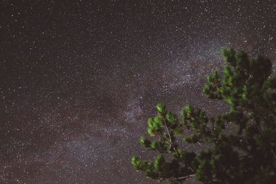 Milkyway on cres