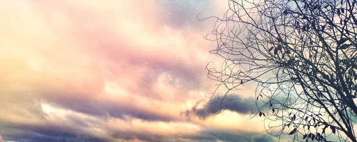 Low angle view of bare trees against cloudy sky