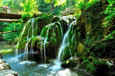 Scenic view of waterfall