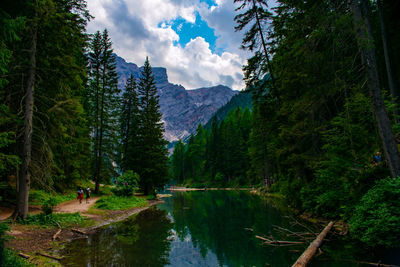 Scenic view of lake in forest against sky