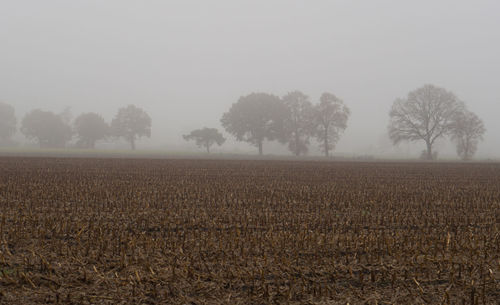 Scenic view of field against sky during foggy weather