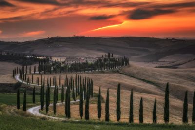 Scenic view of field against sky during sunset