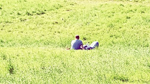 Rear view of girl sitting on grassy field