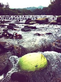 Scenic view of river