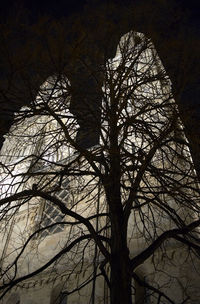Low angle view of bare trees against the sky