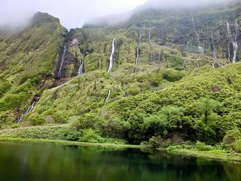 Scenic view of trees and mountains