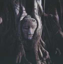 Close-up of woman