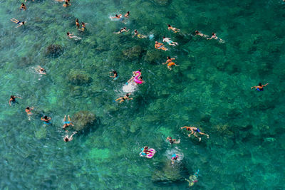 High angle view of people swimming in sea