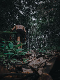 Rear view of man standing by tree in forest