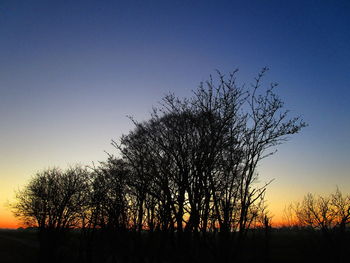 Silhouette bare tree against clear sky during sunset