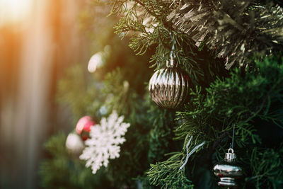 Close-up of christmas tree