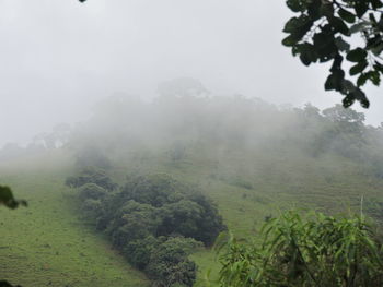 Scenic view of agricultural landscape against sky