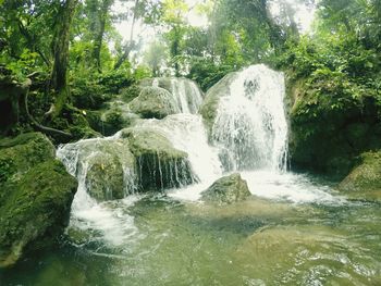 Scenic view of waterfall in forest