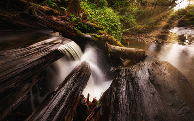 View of waterfall in forest
