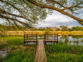 View of wooden footbridge over lake