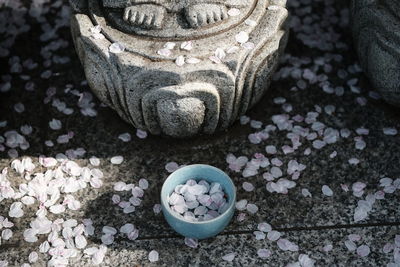 Buddha under sakura petals