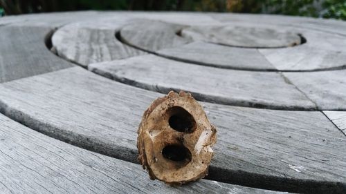 Close-up of table and walnut shell