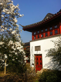 Low angle view of flowers against building