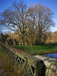 Bare trees by canal against sky