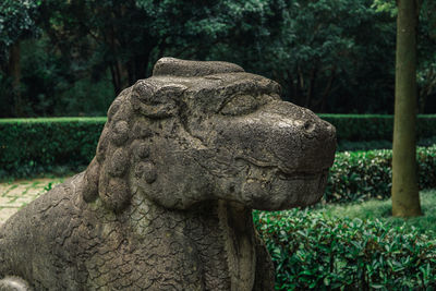 Close-up of statue against trees in park