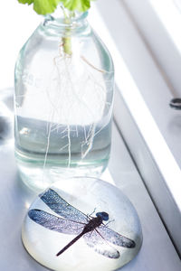 Close-up of glass bottle on table