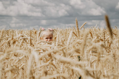 Hay bales in a field