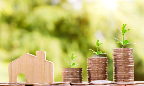 Close-up of coins and plants with wooden house on table