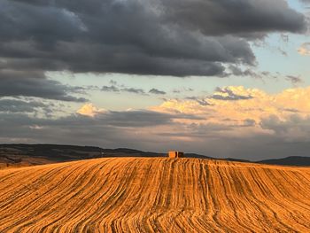 Scenic view of agricultural field against sky during sunset
