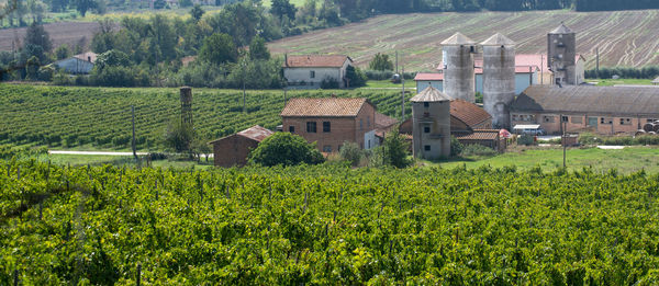 Scenic view of agricultural field by houses