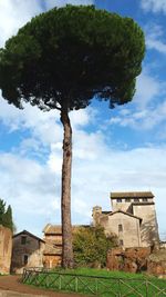 Castle by tree against sky