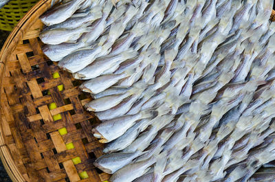 High angle view of fish arranged on wicker container for sale at market