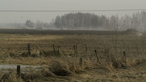 Scenic view of field against sky