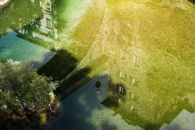 High angle view of plants by lake