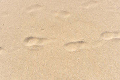 High angle view of footprints on sand