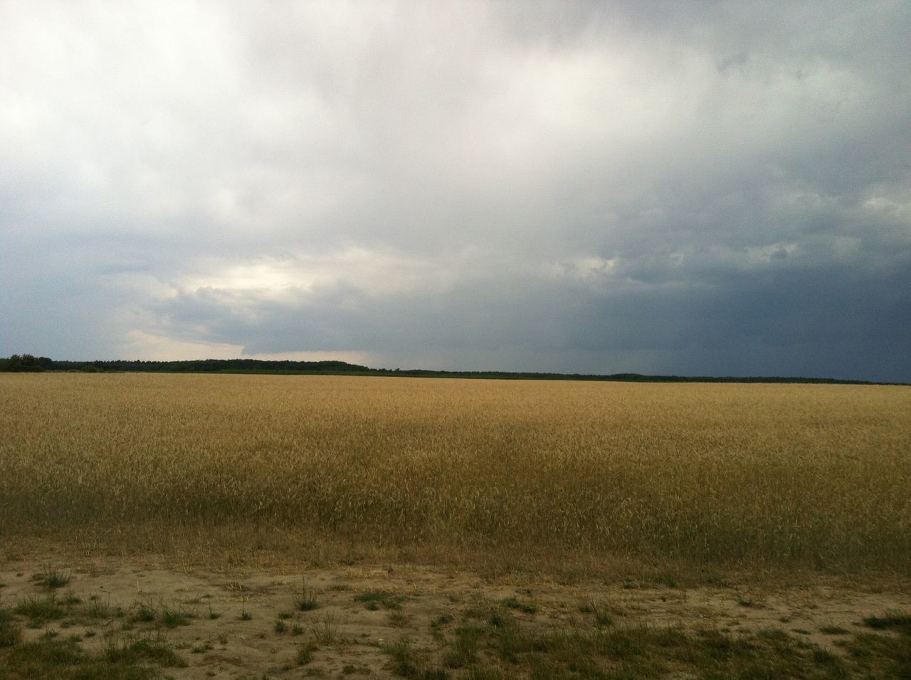 agriculture, farm, field, tranquility, landscape, rural scene, nature, sky, scenics, tranquil scene, growth, no people, beauty in nature, cloud - sky, day, outdoors