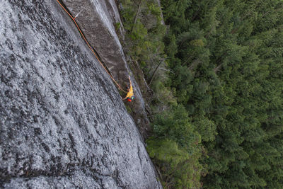 Climber starting long crack during multipitch climb above forest