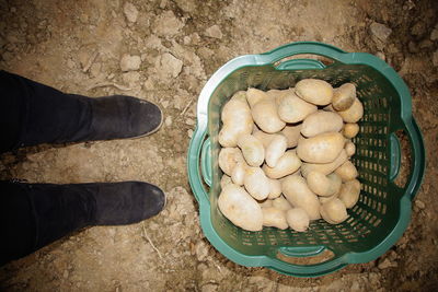 Low section of person standing by potatoes in basket on ground