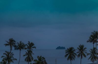 Palm trees against blue sky