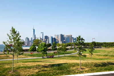 Trees growing on field against buildings in city against clear sky