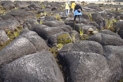 Rear view of woman standing on rock