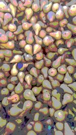 Full frame shot of market stall