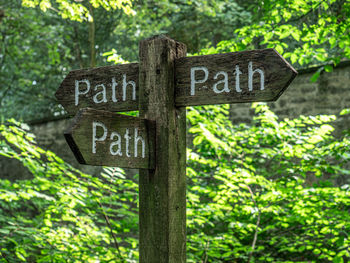 Close-up of sign on wooden post in forest