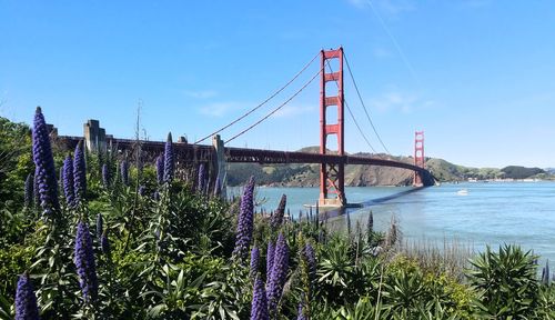 View of suspension bridge over river