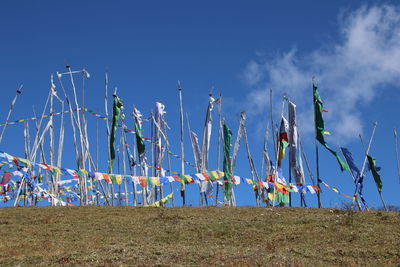 Plants growing on land against blue sky