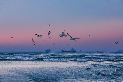 sea