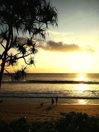 Scenic view of sea at sunset