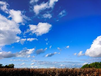 Scenic view of field against blue sky